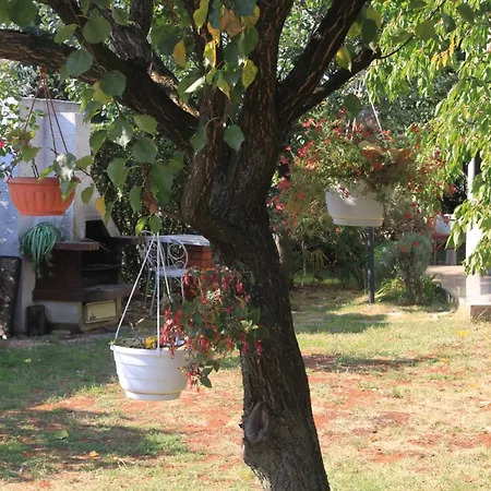 7171c Apartmán Umag