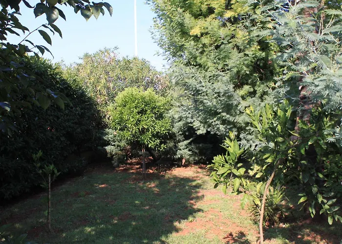 7171c Ουμάγκ